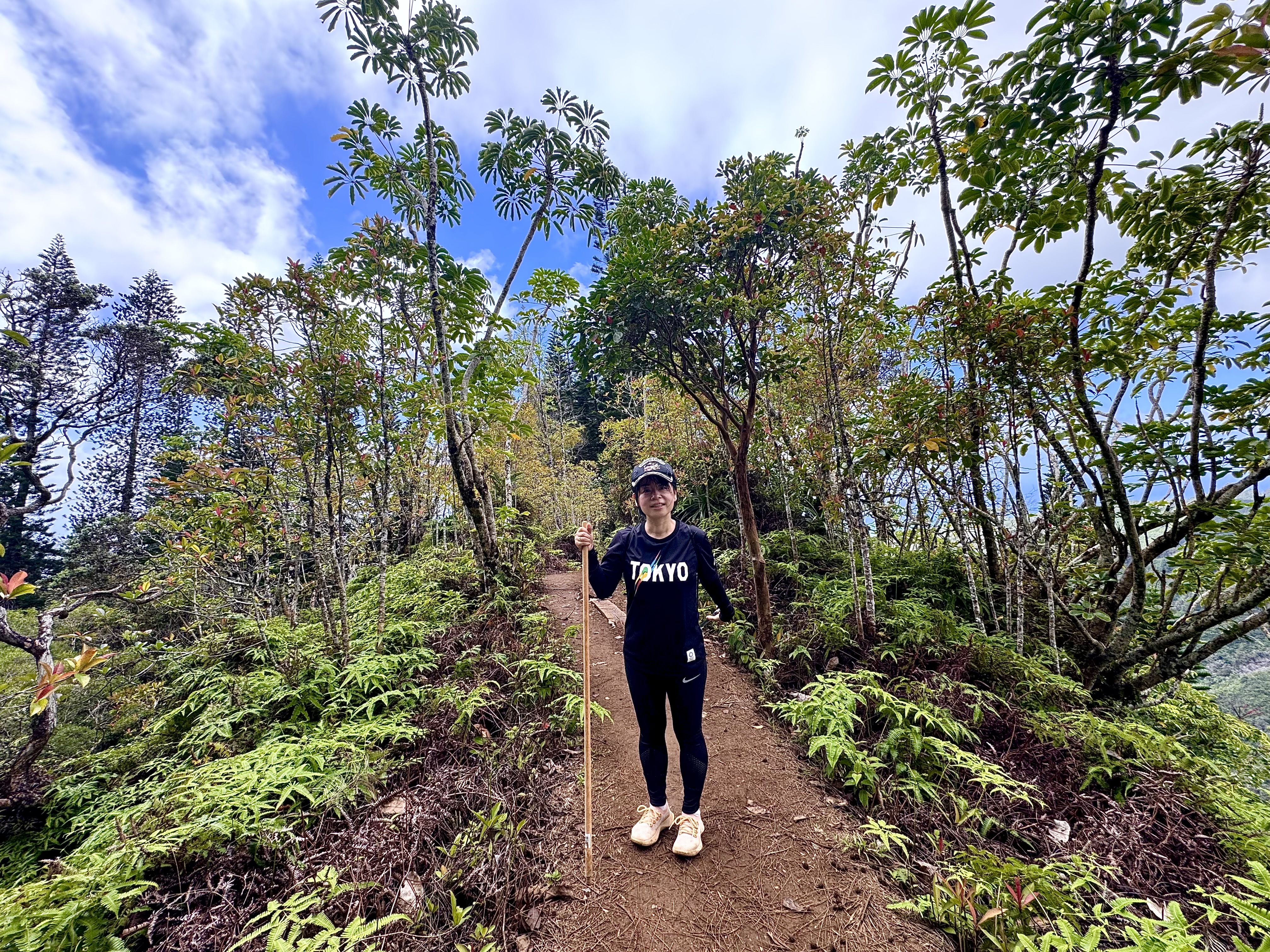 Ayumi with walking stick on the Kuliouou Ridge Trail surrounded by lush ferns and tropical vegetation