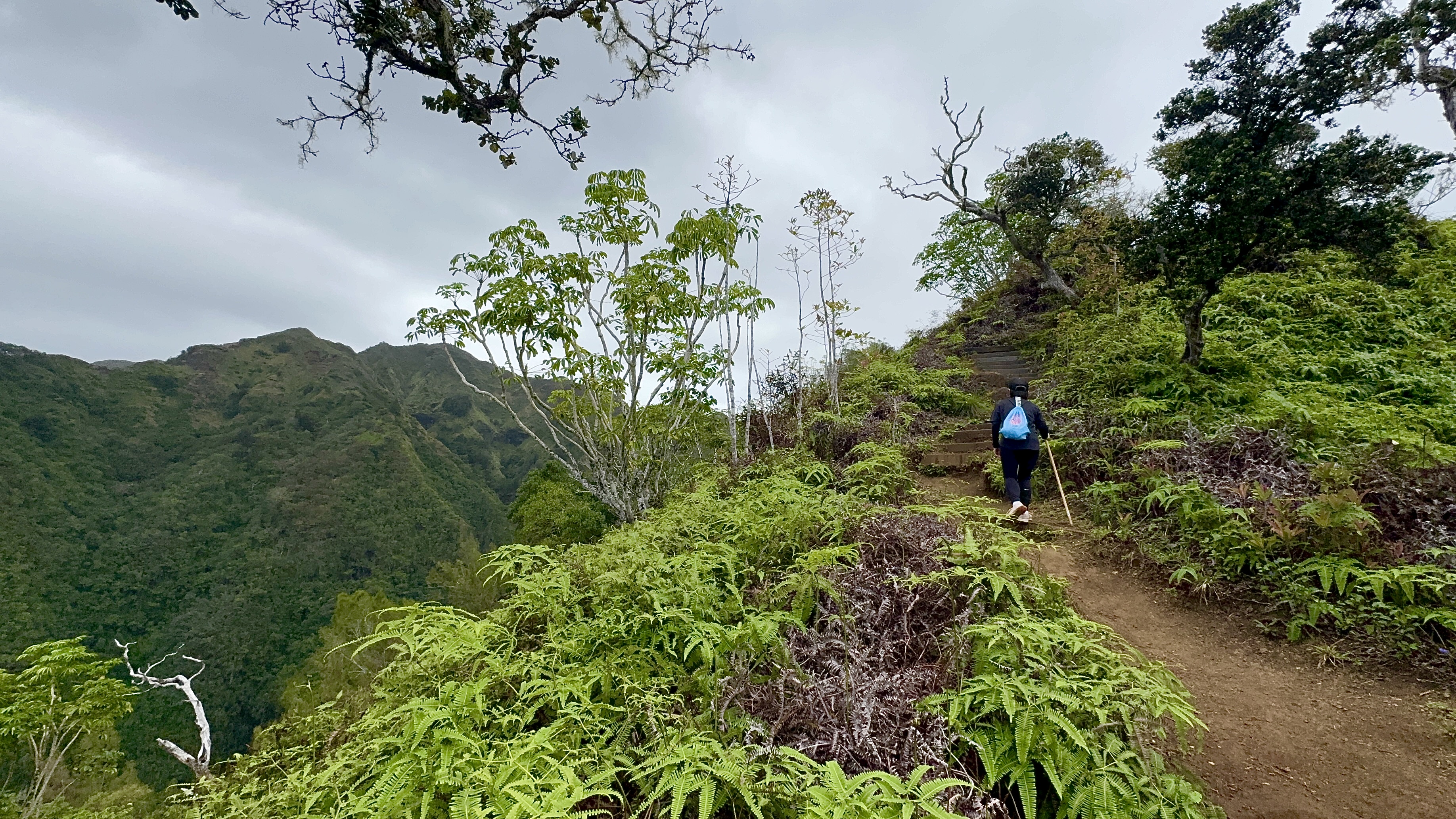 Ayumi heading toward the stairs on the exposed ridge with the dramatic Ko'olau mountains on the left under overcast sky