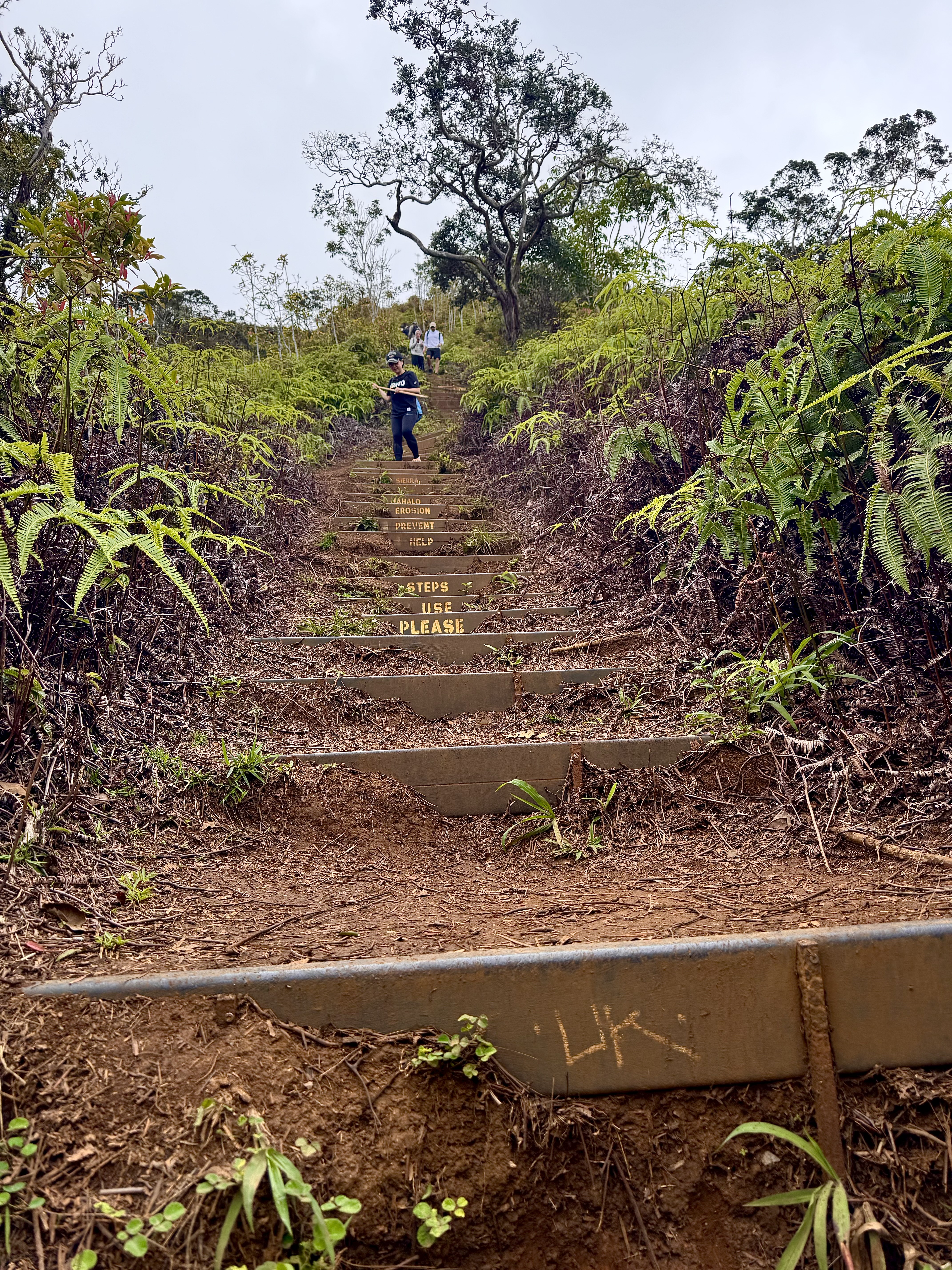 The steep stairs on Kuliouou Ridge Trail looking up, with 'Please Use Steps' written on them and Ayumi visible climbing