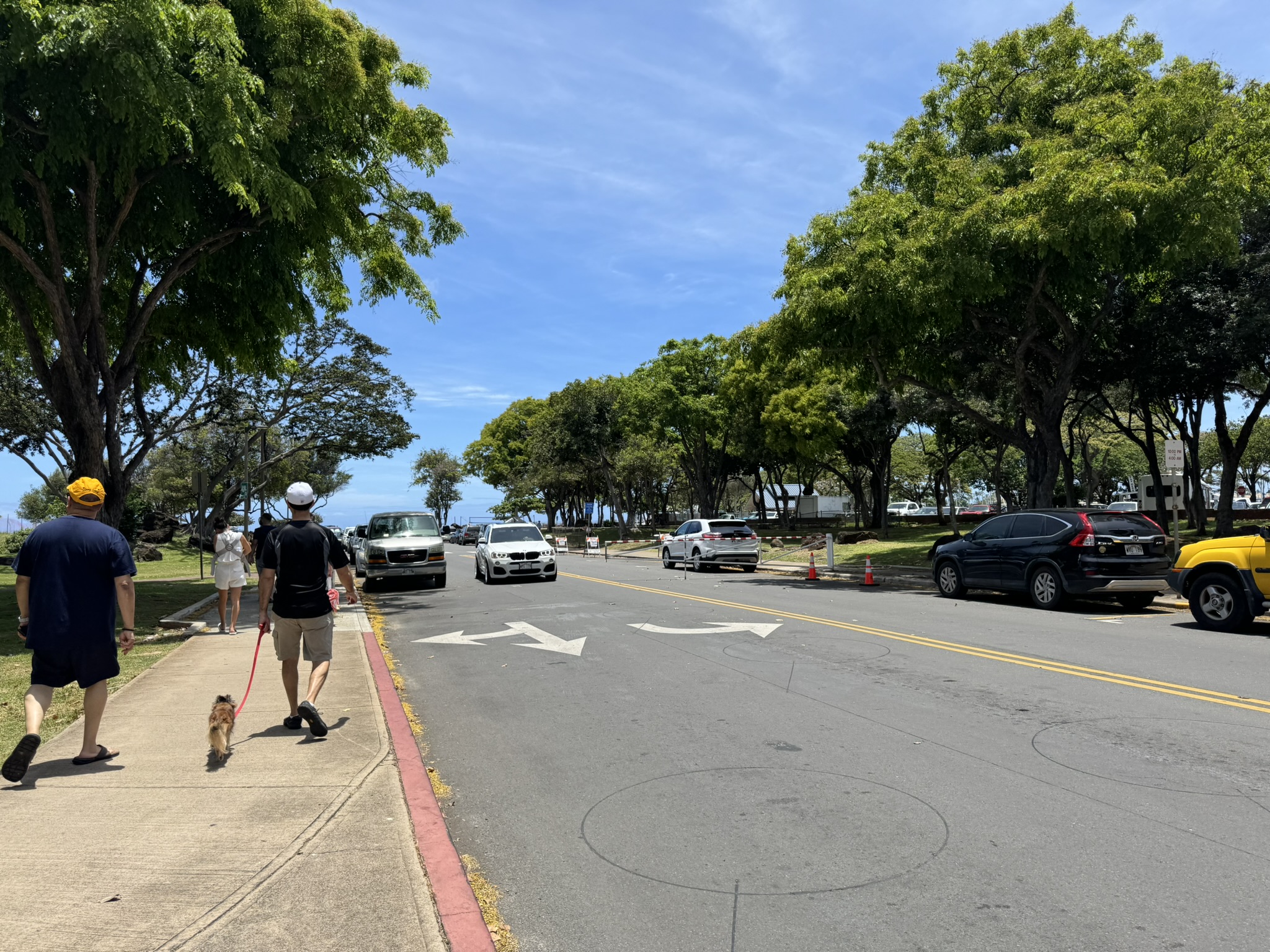 The tree-lined road leading to Ala Moana Beach Park, with a gate barrier blocking entry to the parking lot