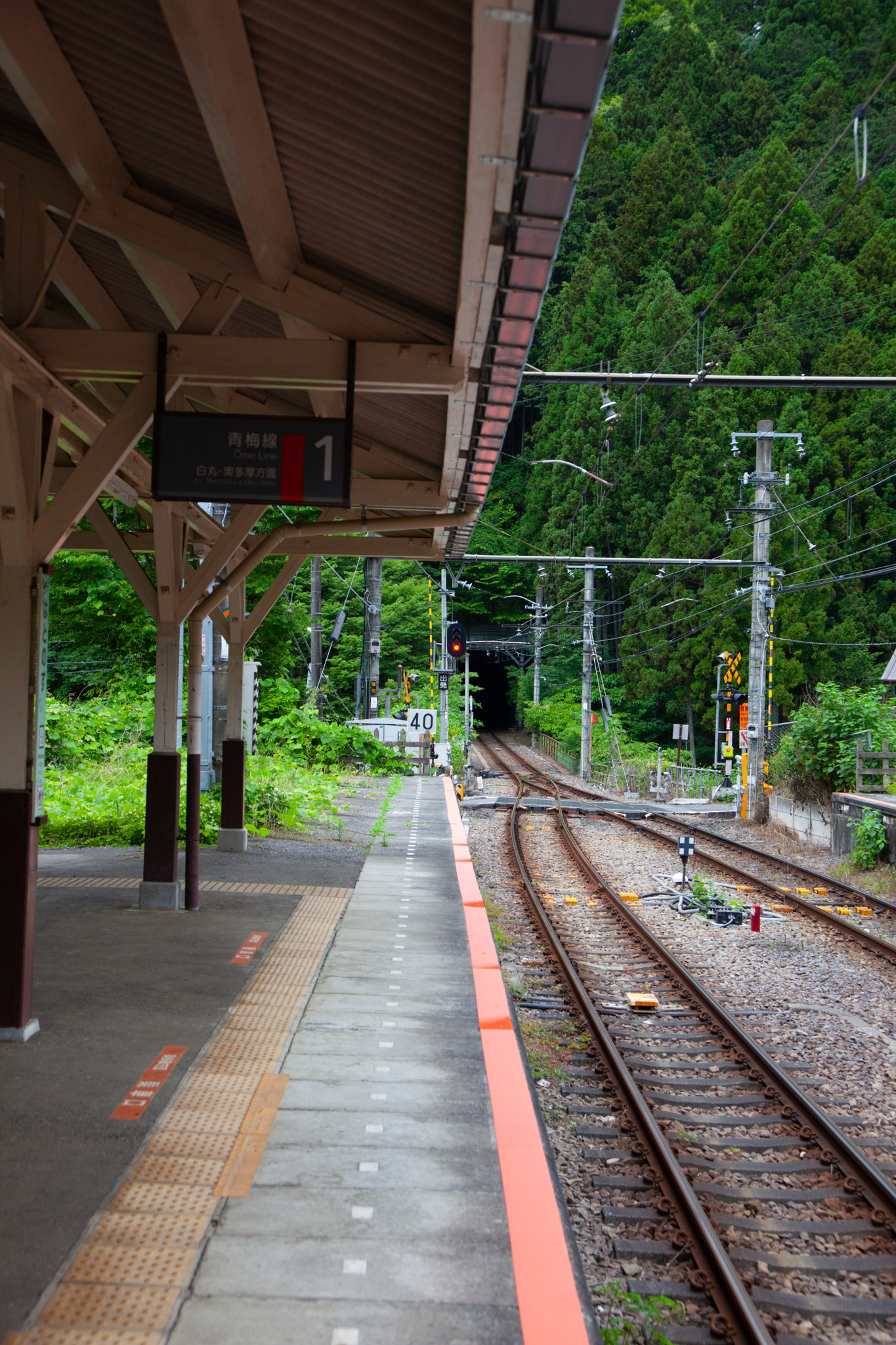 The single platform at Hatonosu Station — a wooden-pillared shelter, platform 1 sign, and the track curving away into a tunnel surrounded by dense cedar forest