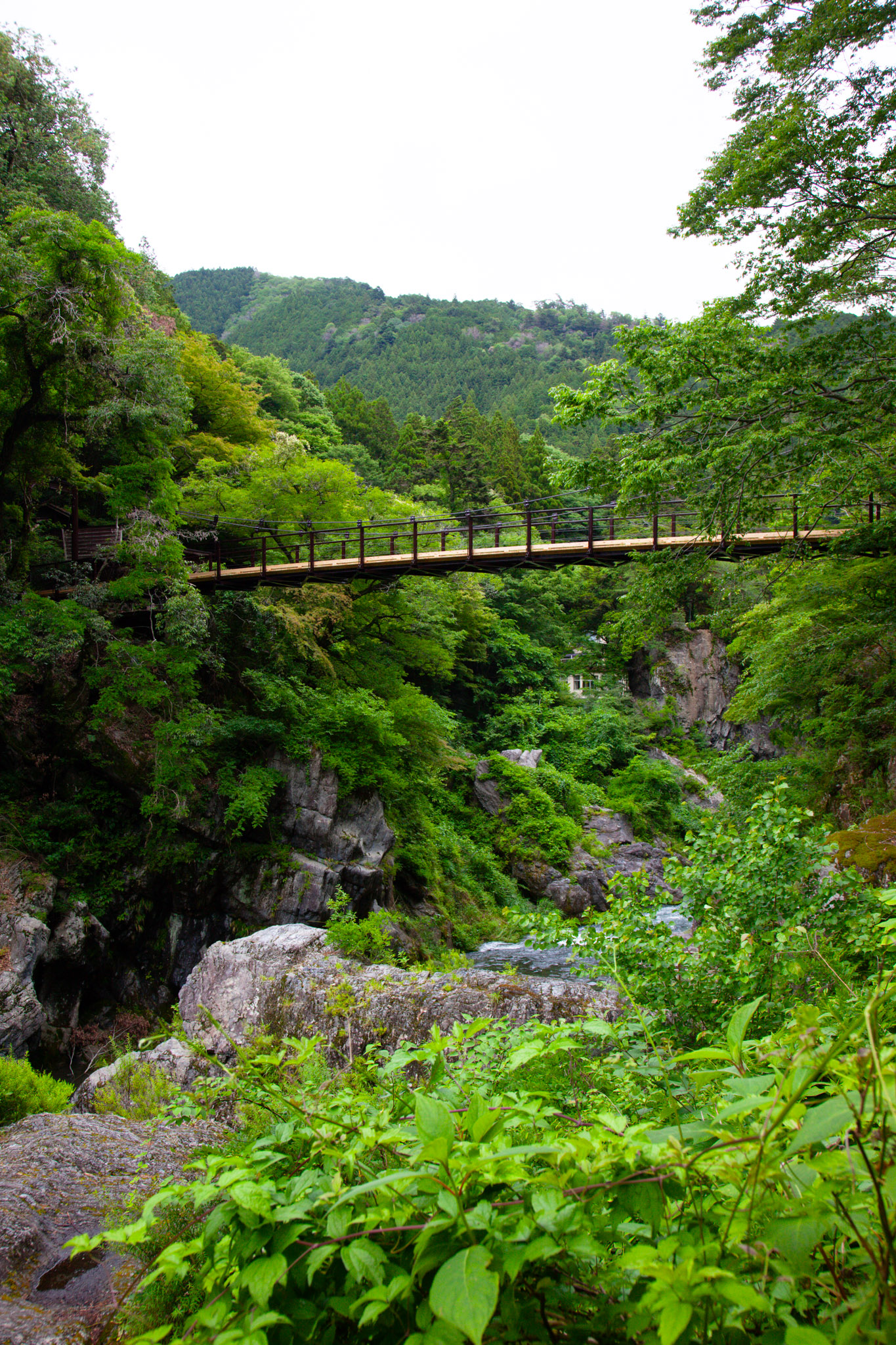 The Hatonosu suspension bridge spanning the gorge — a thin wooden footbridge strung between forested cliffs, the Tama River and grey boulders far below