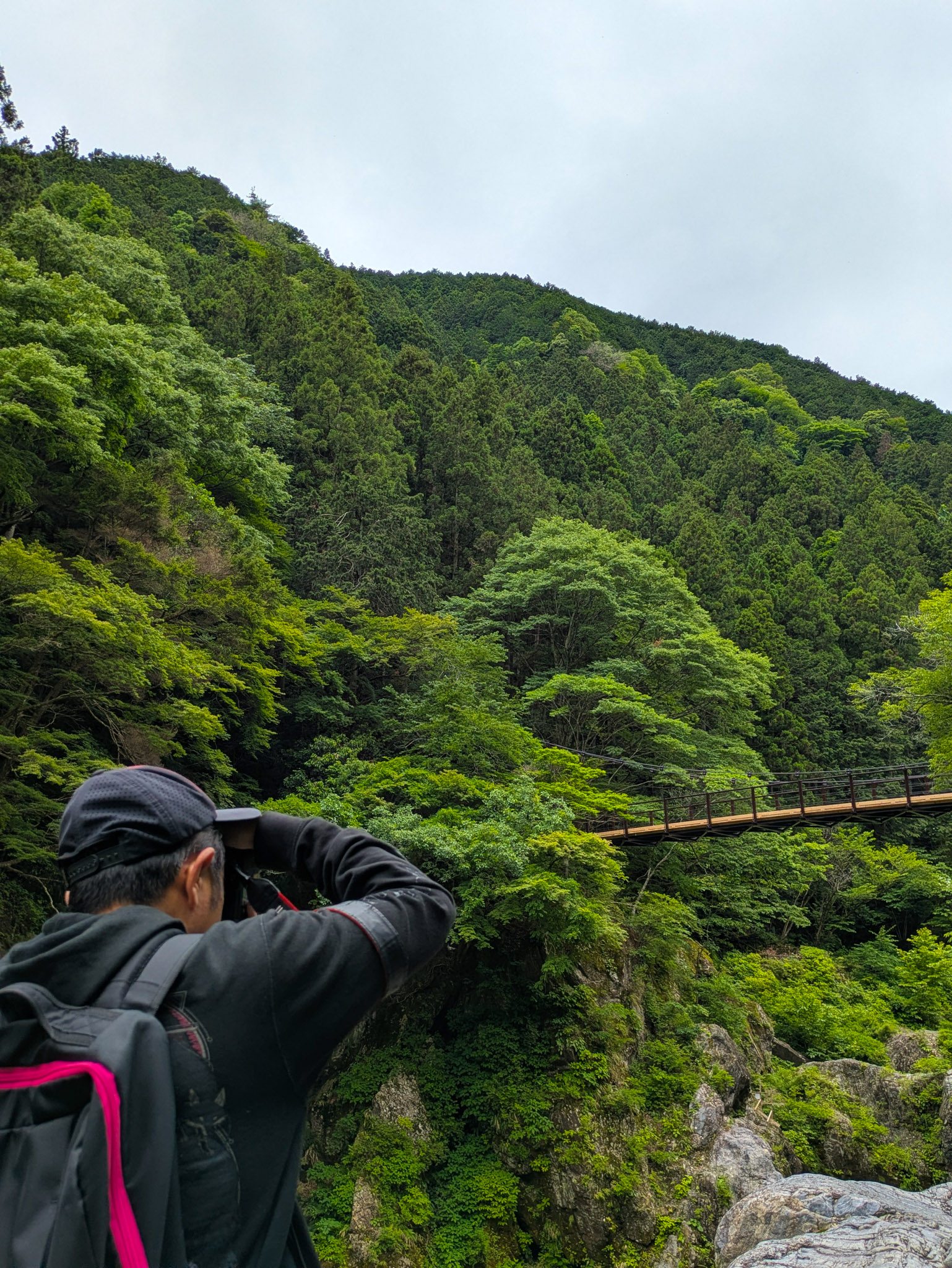 John from behind, in a black cap and jacket, raising his phone to photograph the distant suspension bridge stretched across the green valley