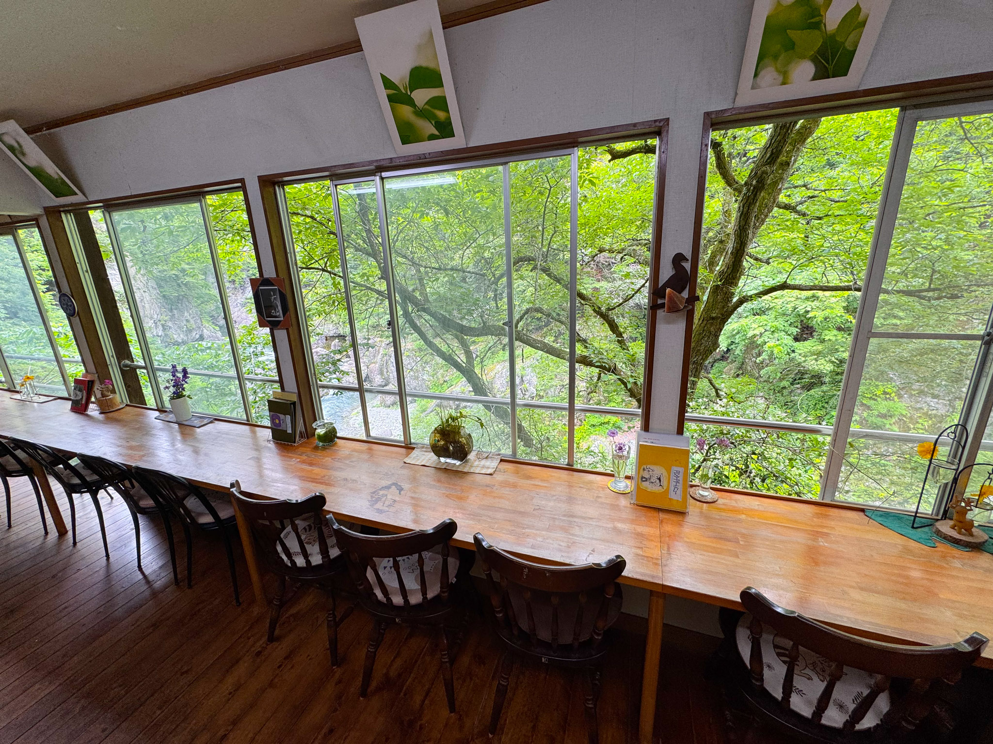 The interior of Café Poppo — a long wooden communal table with old wooden chairs facing a wall of windows that look directly out into the green forested gorge