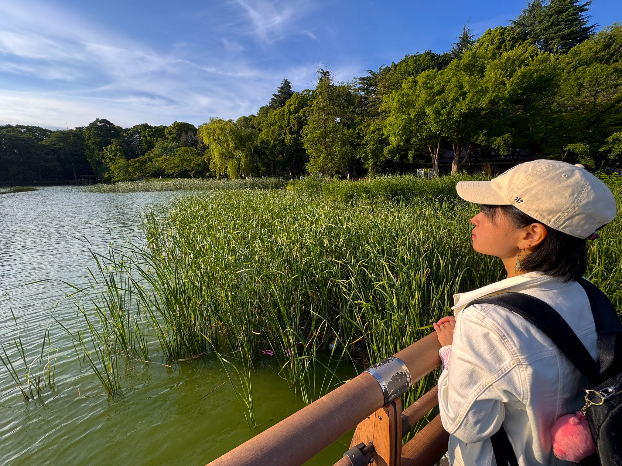 Ayumi leaning on a railing at the edge of Inokashira Pond in late afternoon, looking out over reeds and still green water toward a tree line under a blue sky