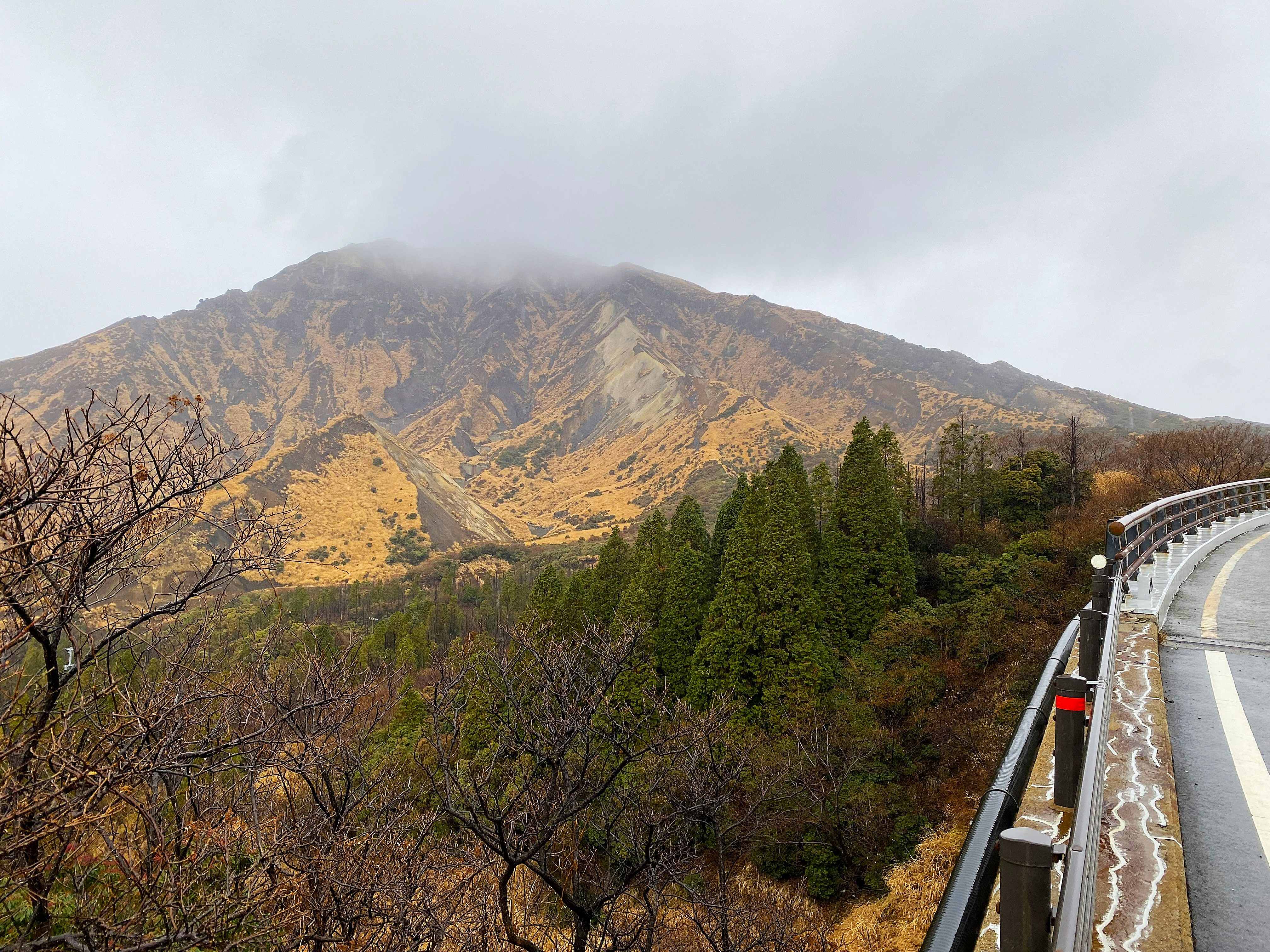 Mt. Aso volcano in Kumamoto seen from the road — the massive volcanic cone rises steeply above the treeline, its summit hidden in low clouds, upper slopes stark golden brown with dark volcanic ravines cutting through, wet guardrail in the foreground