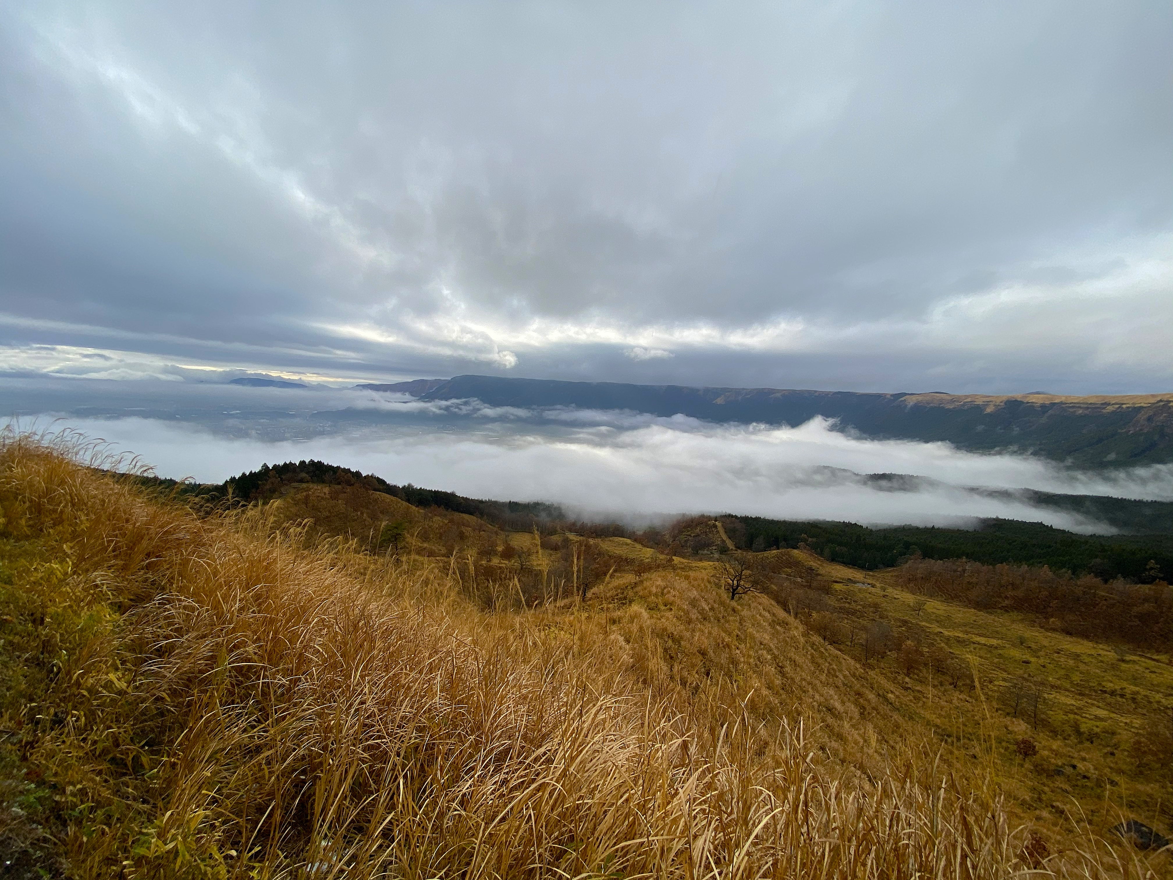 Looking out from the Aso caldera rim over a sea of clouds filling the valley below — golden winter grass in the foreground, dense white cloud layer stretching to the far caldera wall