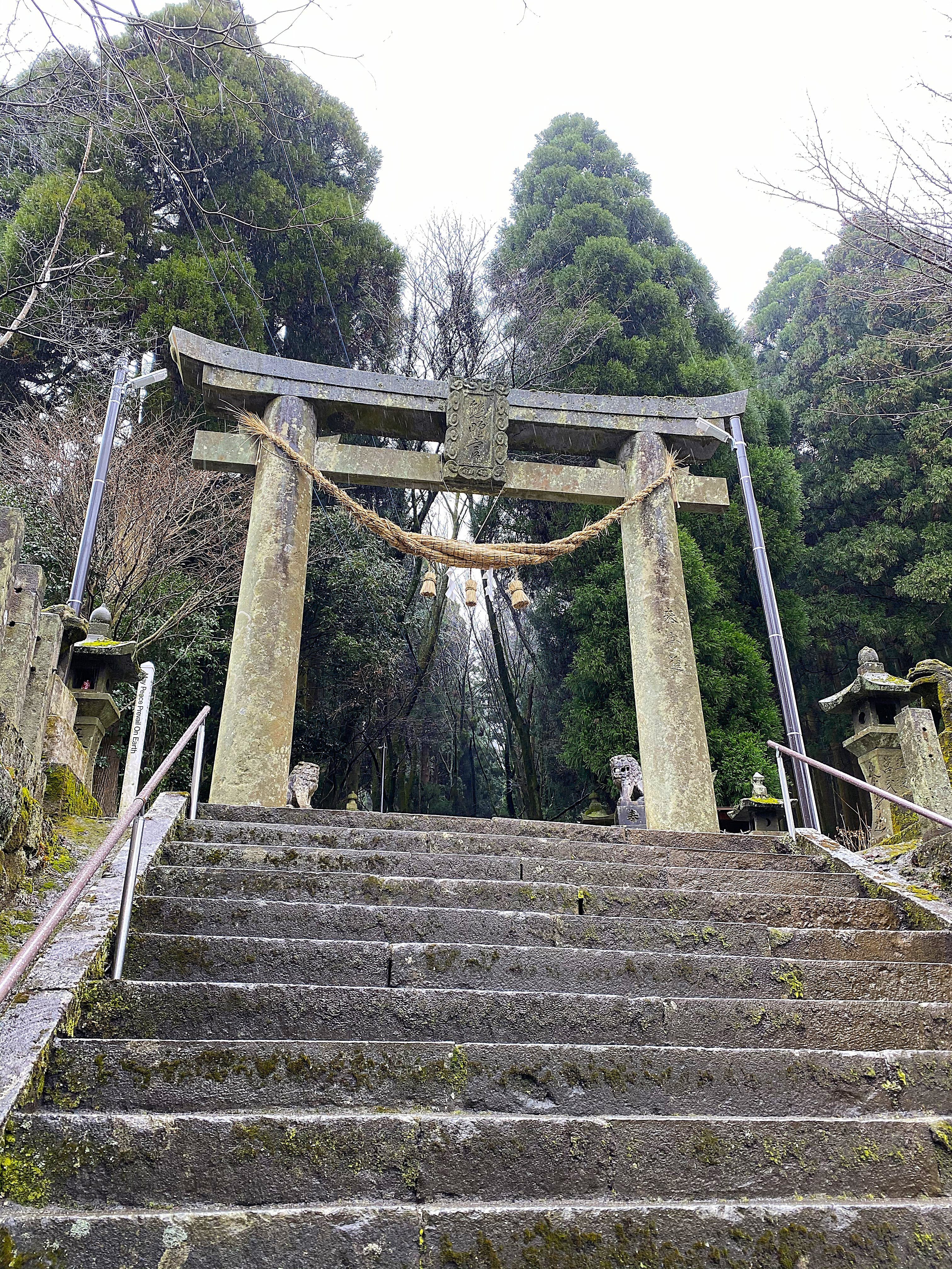Stone torii gate with a thick shimenawa rope at the entrance to Kamishikimi Kumanoimasu Shrine — stone steps leading upward, moss-covered lanterns and guardian statues on either side, dense sugi forest behind