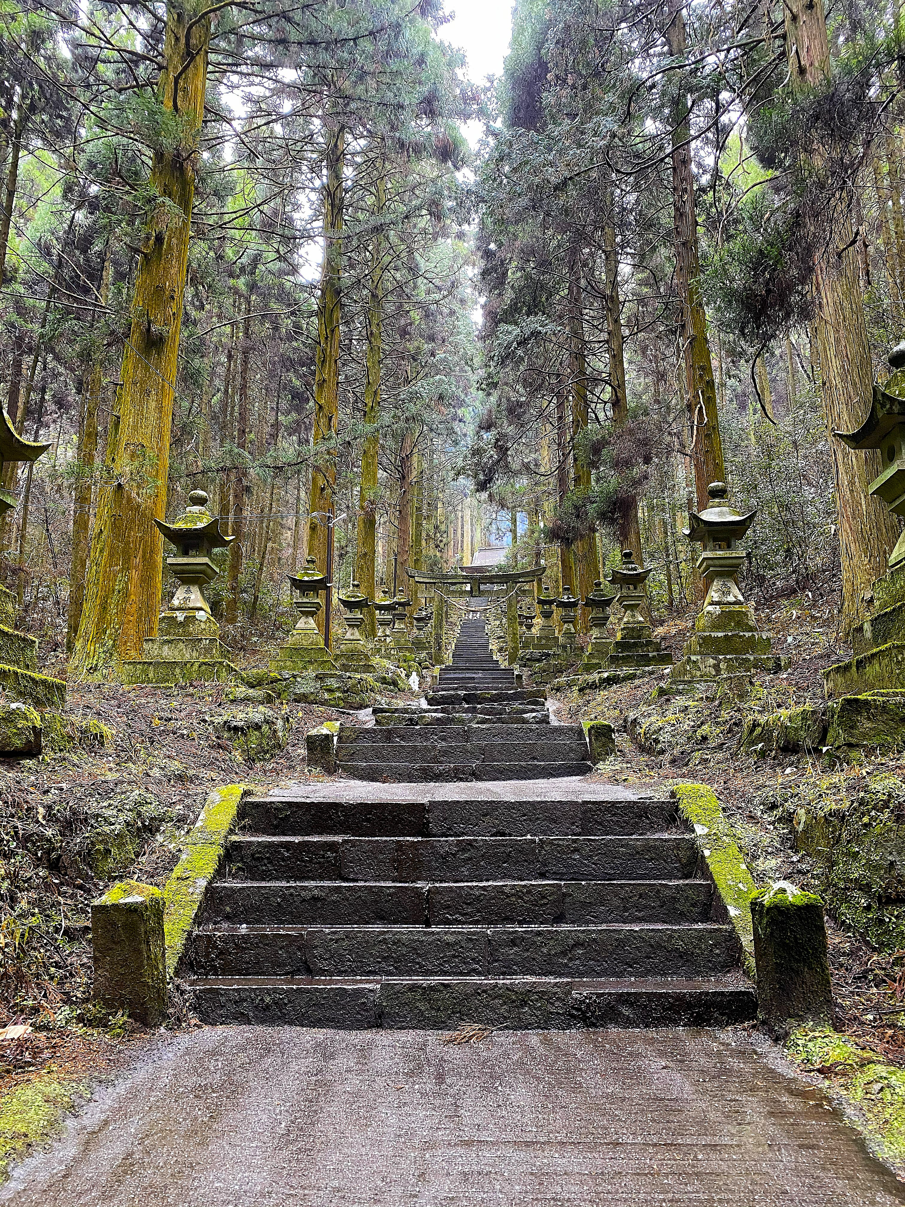 Long stone staircase at Kamishikimi Kumanoimasu Shrine ascending through a corridor of towering ancient sugi — moss-covered stone lanterns line both sides, a torii gate visible at the summit in the mist, steps dark and wet from December weather