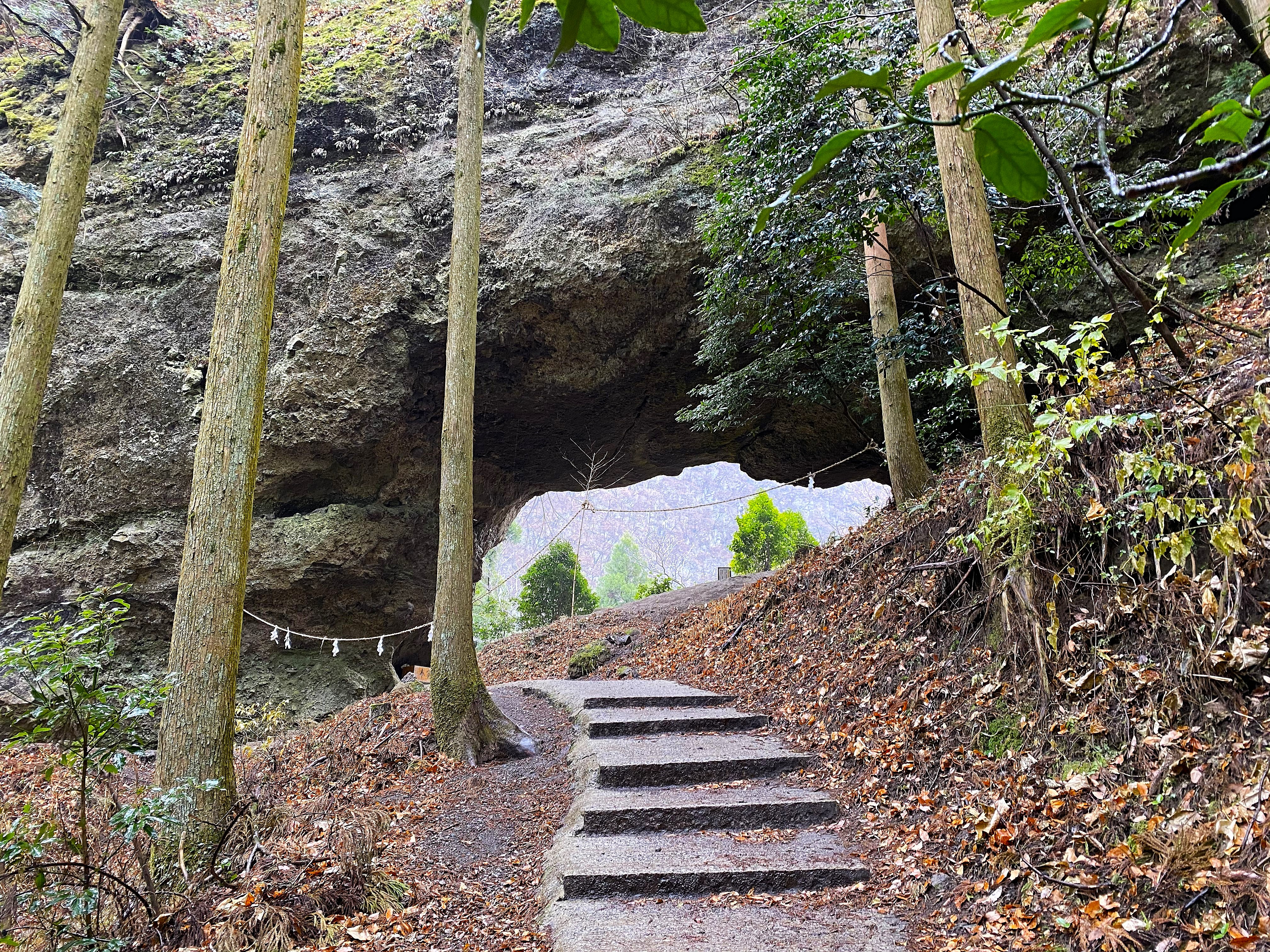 Approach path to the volcanic rock arch at Kamishikimi Kumanoimasu Shrine — rough stone steps lead up through sugi trunks toward a massive natural rock overhang, shimenawa rope strung across the path, autumn leaves covering the hillside
