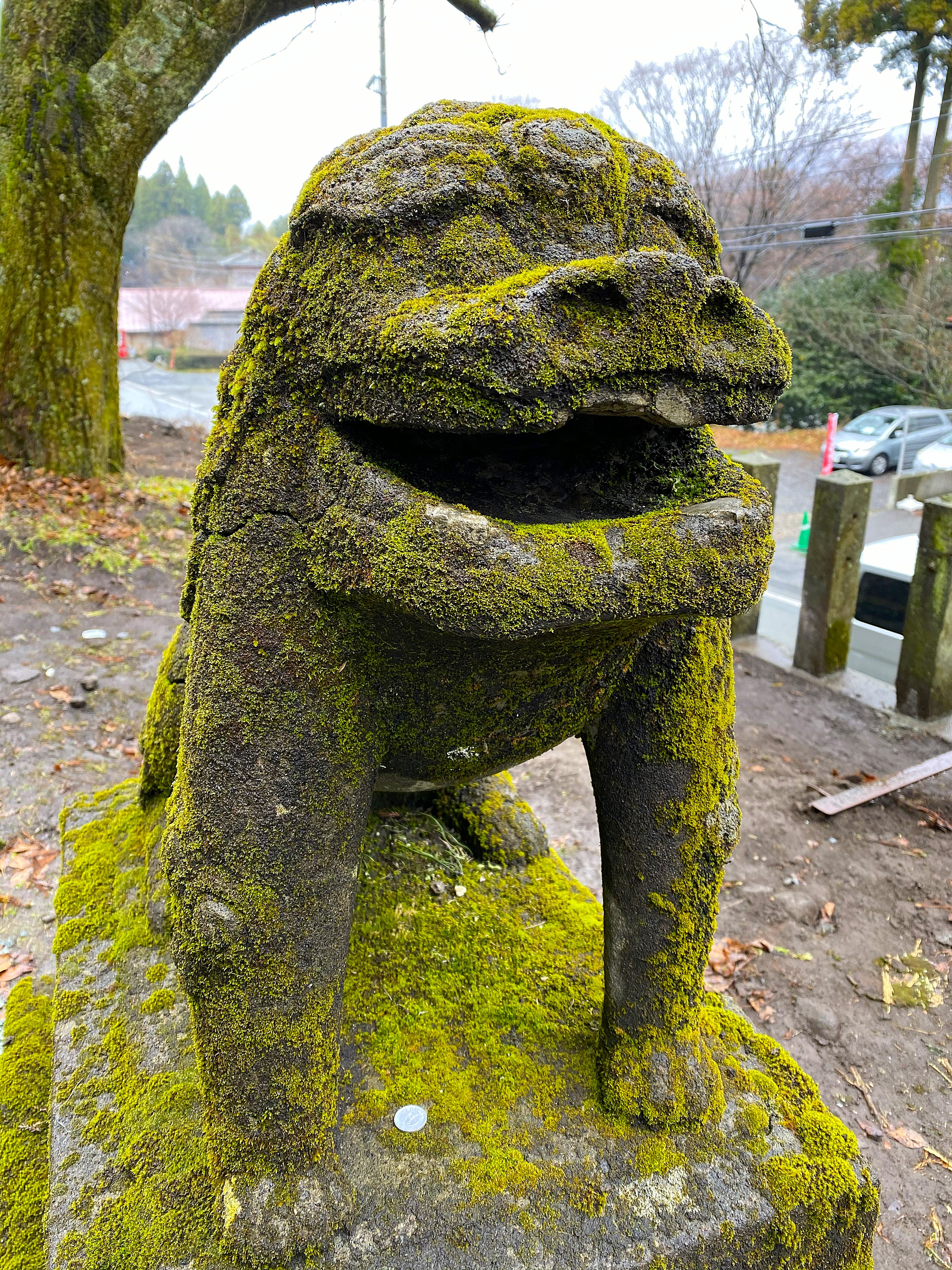Close-up of a moss-covered stone komainu guardian at Kamishikimi Kumanoimasu Shrine — thickly coated in bright green moss, expression worn smooth by age and weather