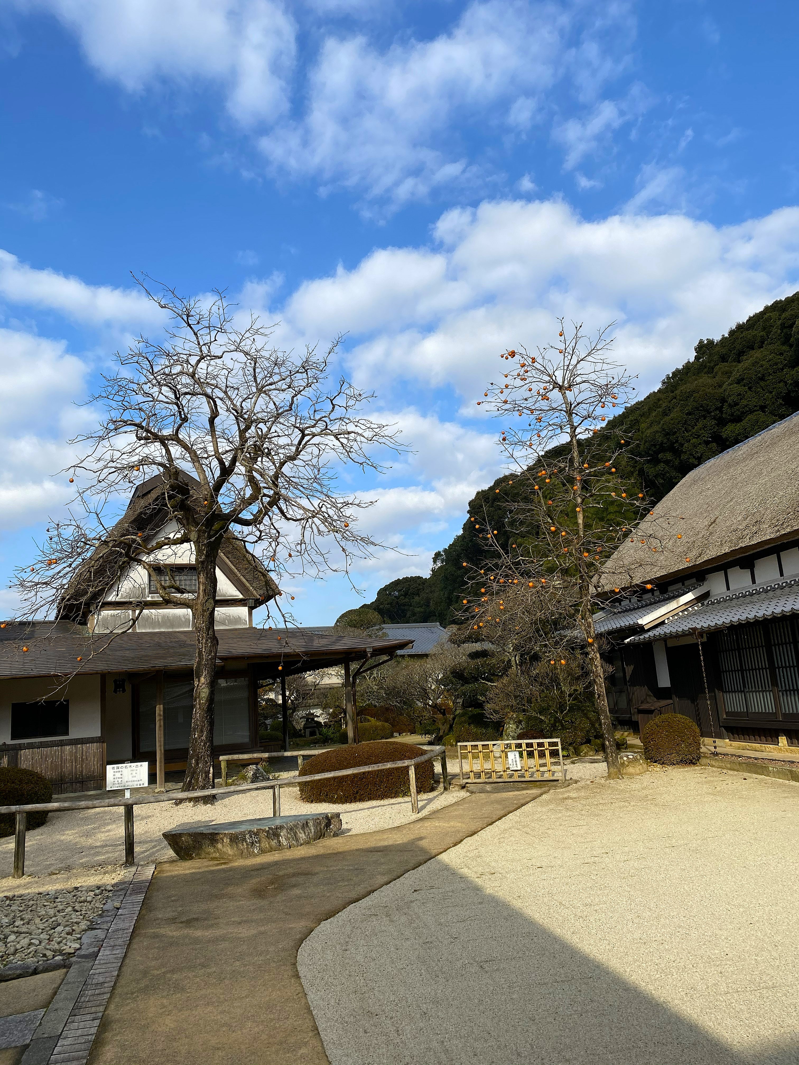 The exterior of the Kakiemon kiln compound — traditional Japanese architecture with thatched and tiled roofs, a gravel garden path, and two bare persimmon trees still holding orange fruit in December, blue sky and a forested hillside behind