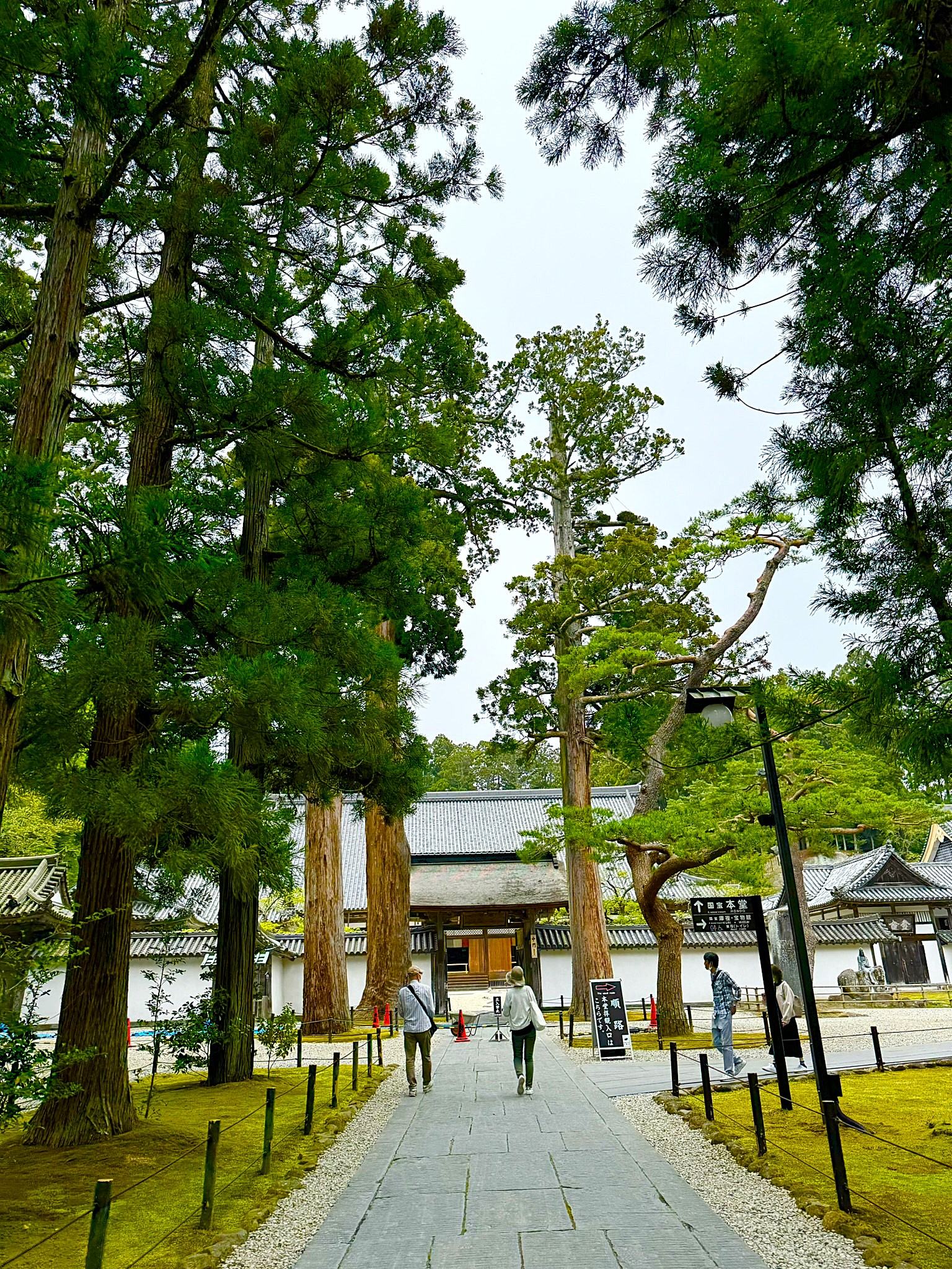 The cedar-lined approach path to Zuiganji Temple in Matsushima — a stone walkway flanked by ancient sugi trees rising high into an overcast sky, visitors walking ahead toward the temple gate