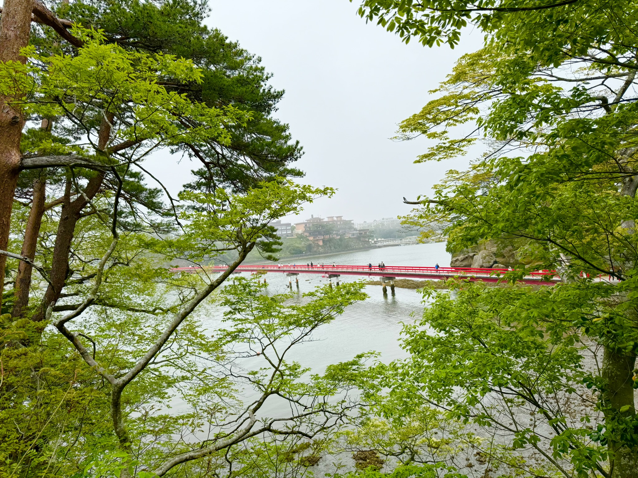 Matsushima Bay at low tide — pine-covered islands in still water, the red Fukuurajima bridge in the distance