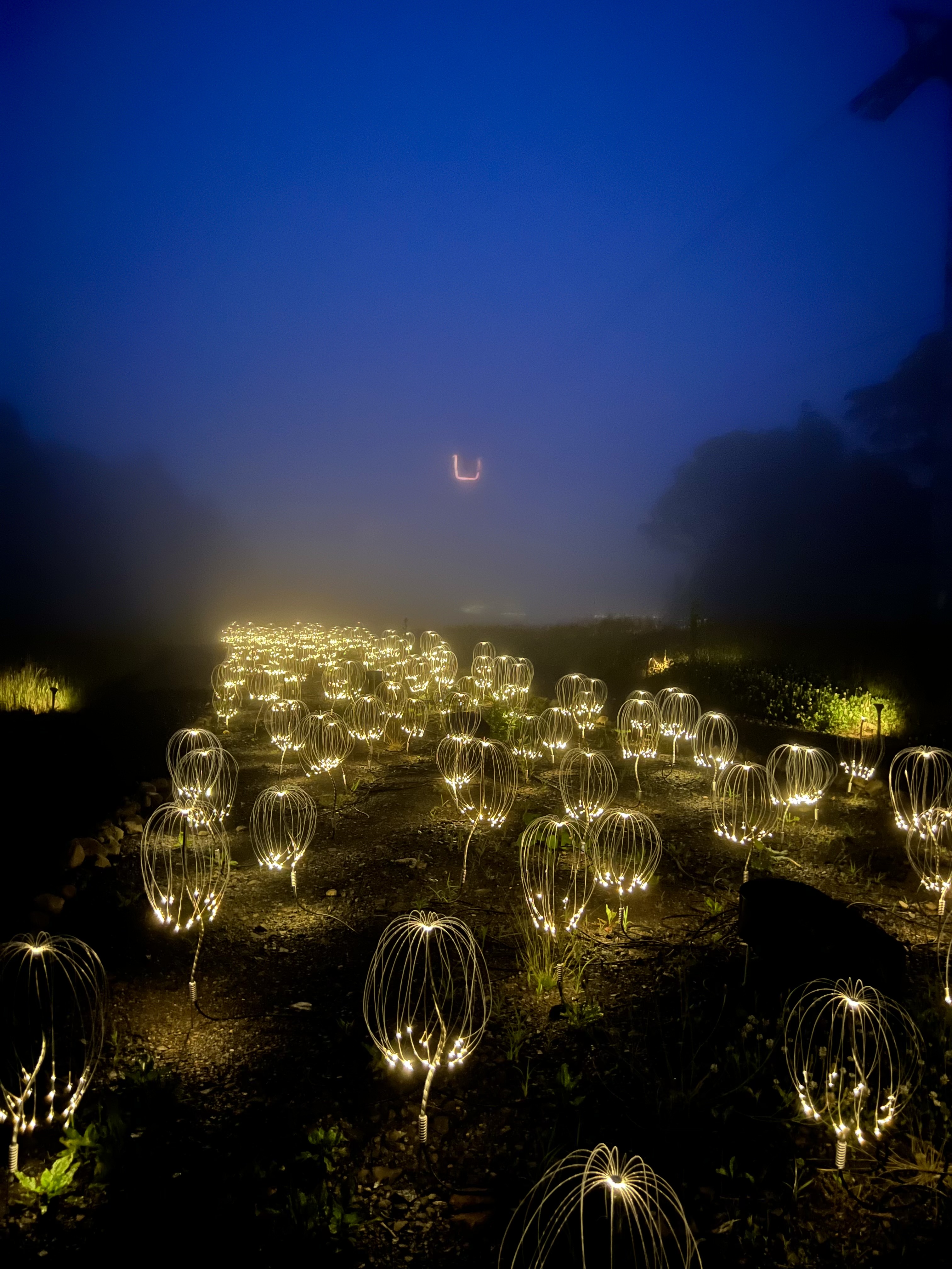 Niseko Mountain Lights — rows of glowing wire sculptures in bulb shapes spread across a dark hillside, fog softening the blue sky above